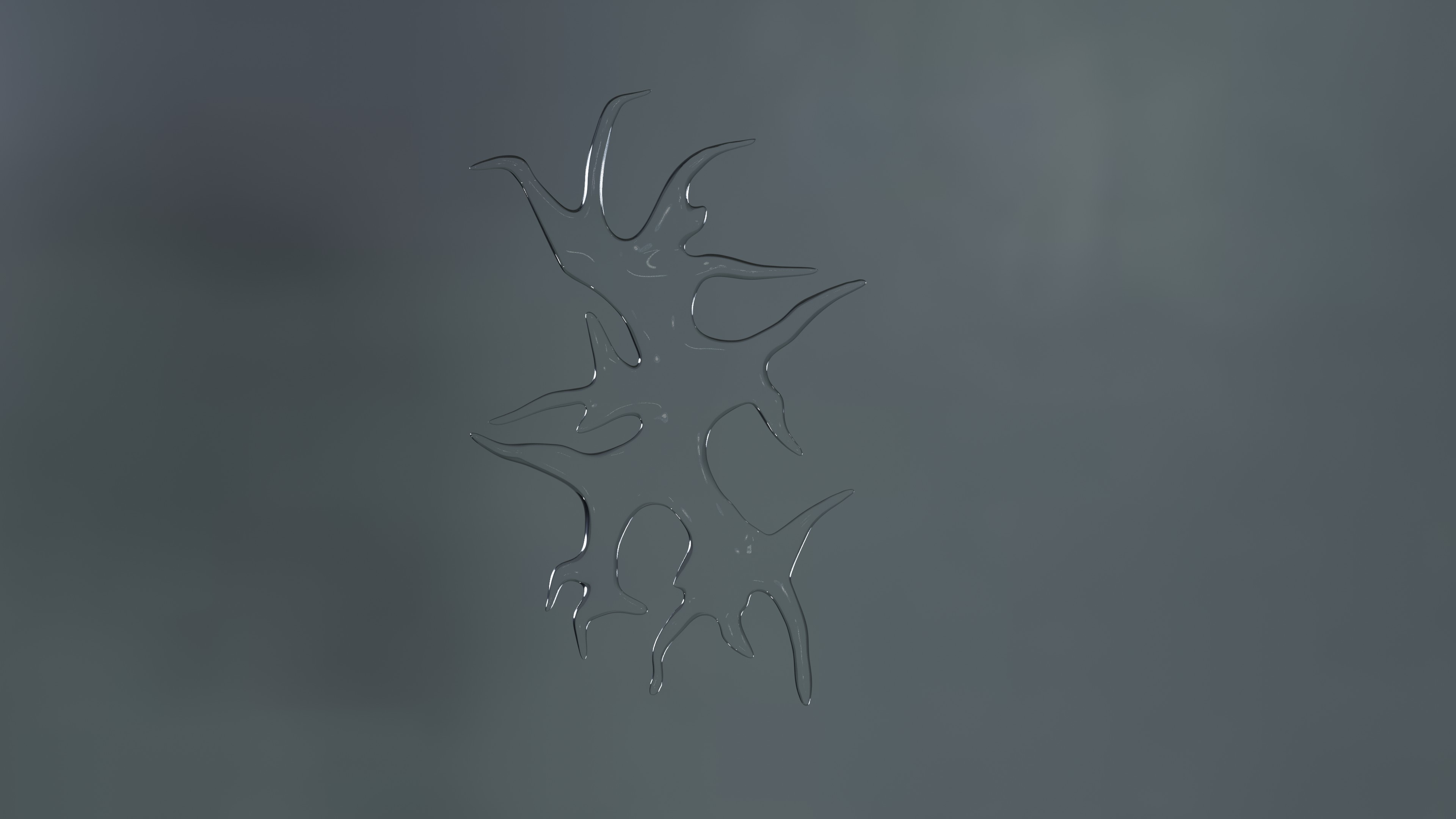 image of flower